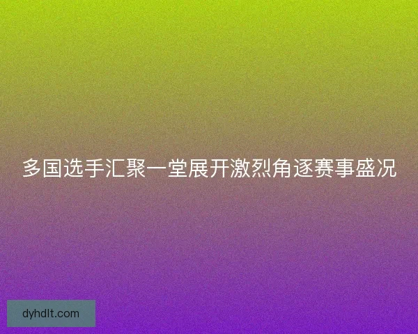 多国选手汇聚一堂展开激烈角逐赛事盛况